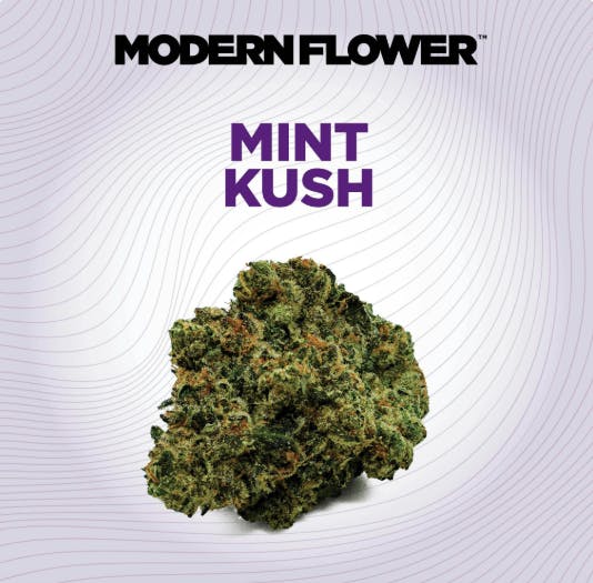 Modern Flower - Modern Flower | Mint Kush | Big Buds | 3.5g - 1