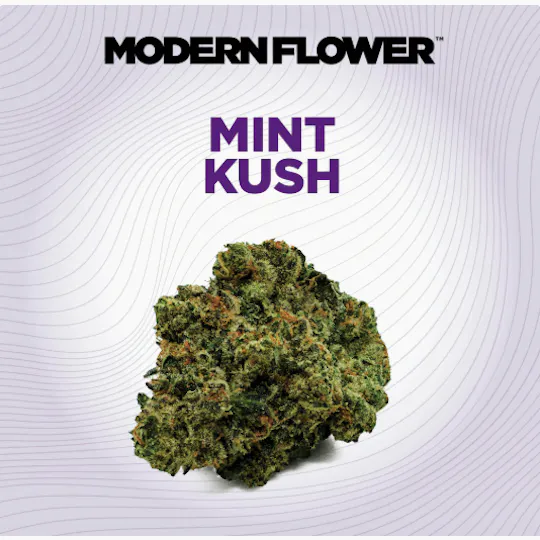 Modern Flower - Modern Flower | Mint Kush | Big Buds | 3.5g - 1