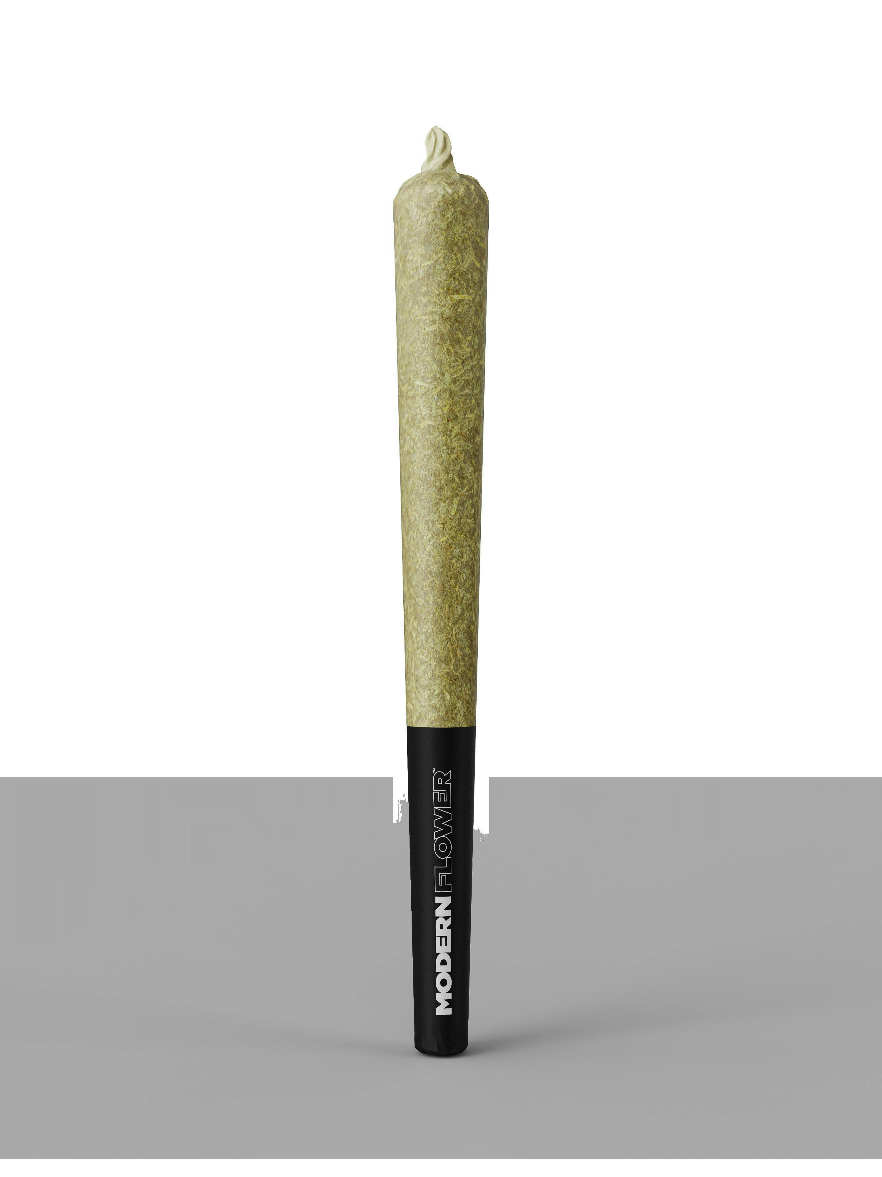 Modern Flower - Princess Shiva - Single PreRoll 1G - 1