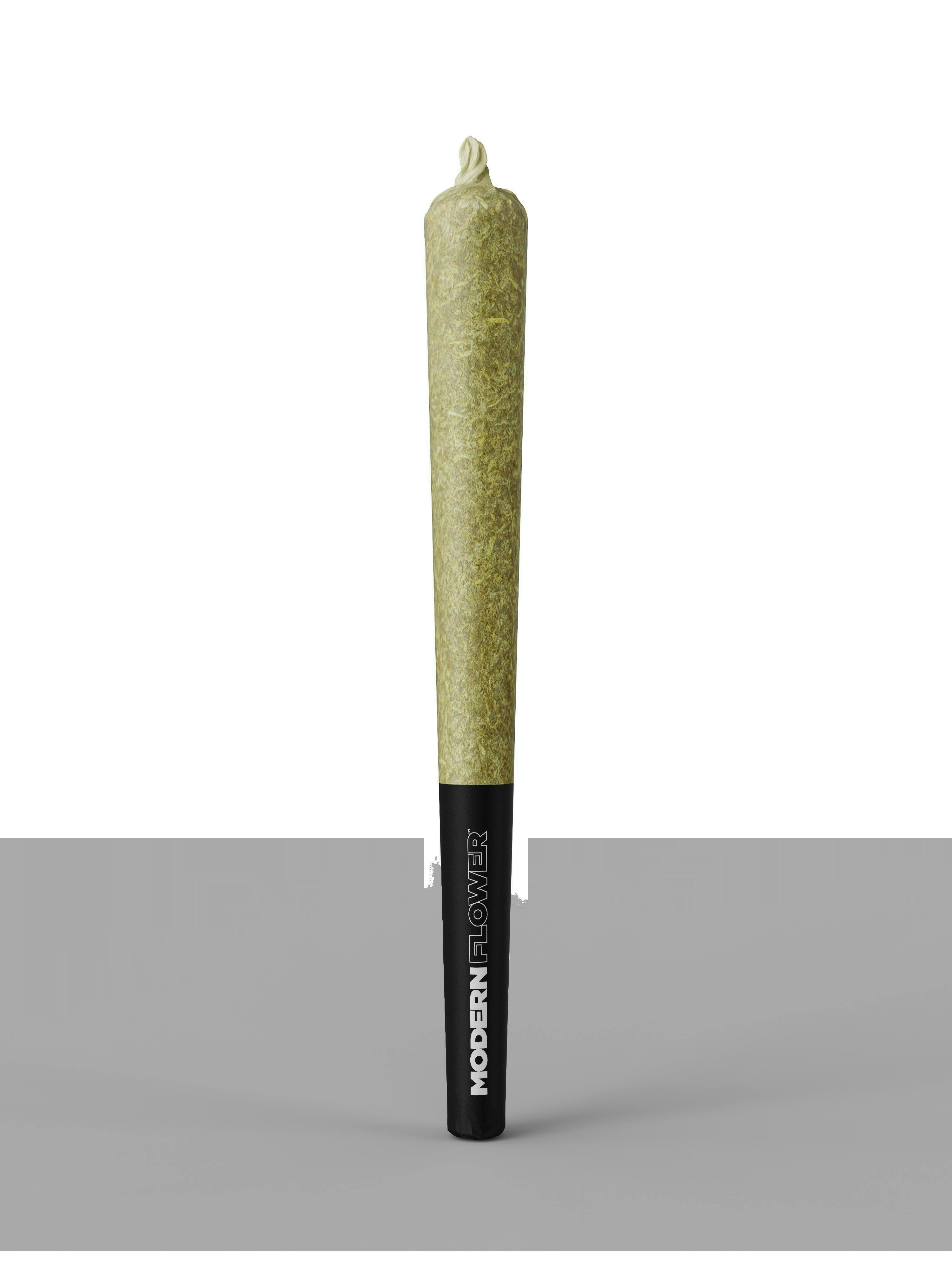 Modern Flower - Modern Flower | Princess Shiva | Joint | 1g - 1