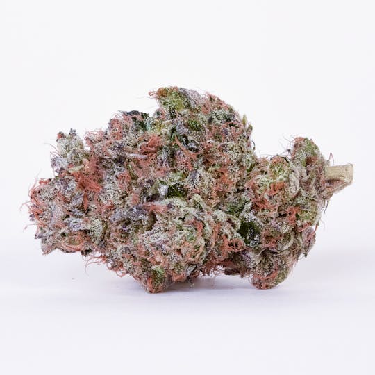 Pure Beauty - Apple Strudel | 14.17g Indoor - 1