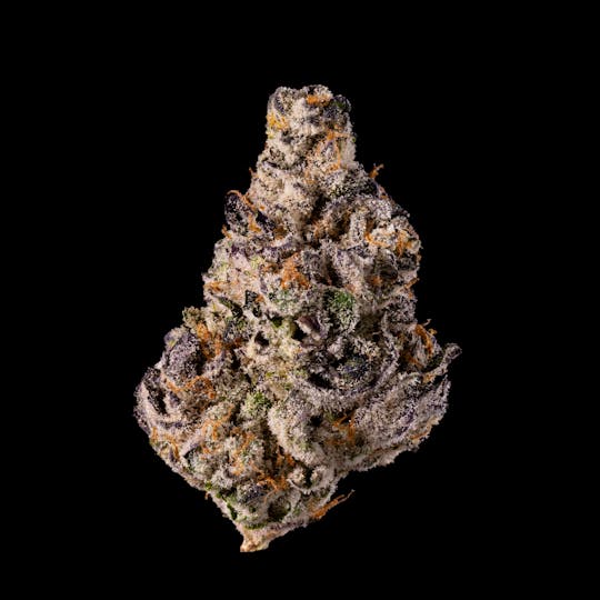 KRD - Cherry Fritter - 1