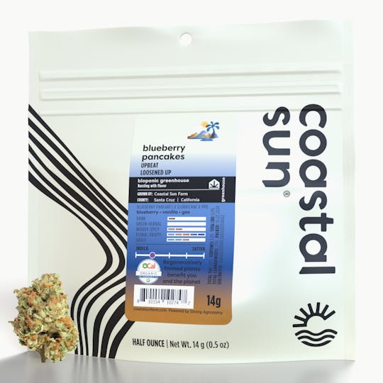 Coastal Sun - Blueberry Pancakes Greenhouse Flower 14g - 1
