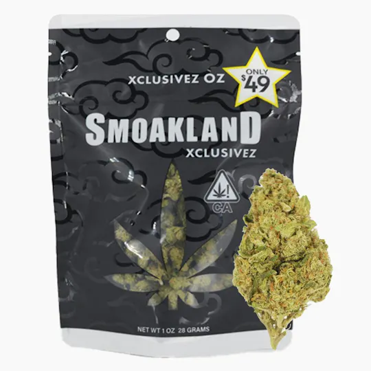 Smoakland - Smoakland Xclusivez | Governmint Oasis | Big Buds | 28g - 1