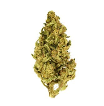 Smoakland - Smoakland Xclusivez | Maui Wowie | Big Buds | 28g - 1