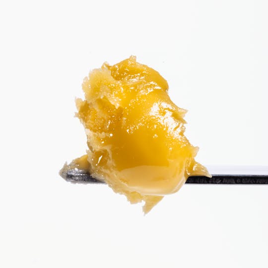 West Coast Cure - Ice Cream Cake Live Resin Badder - 1