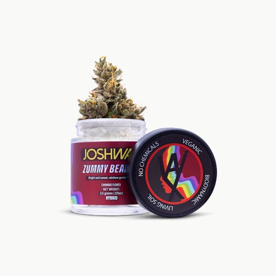JOSHWAX - Zummy Bears 1 Flower | 3.5g Jar - 1