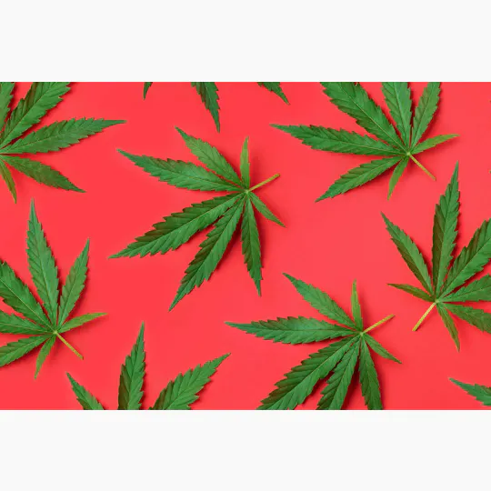 JOSHWAX - Mango Chili (CBN) Gummies 10pk | 100mg - 1