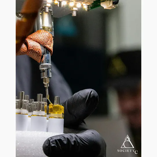 Society C - Society C | Highlighter | Live Rosin Disposable | 0.5g - 1