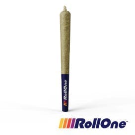 Roll One - Roll One | Blackberry Punch | Joint | 1g - 1