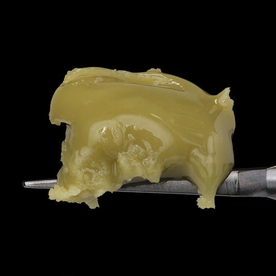 Master Makers - DOBOS TRIANGLE - Full Spec Live Rosin Cold Cure by Master Makers - 1