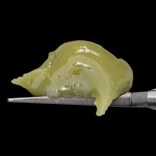 Master Makers - GARY PAYTON - Live Rosin Cold Cure Badder - 1