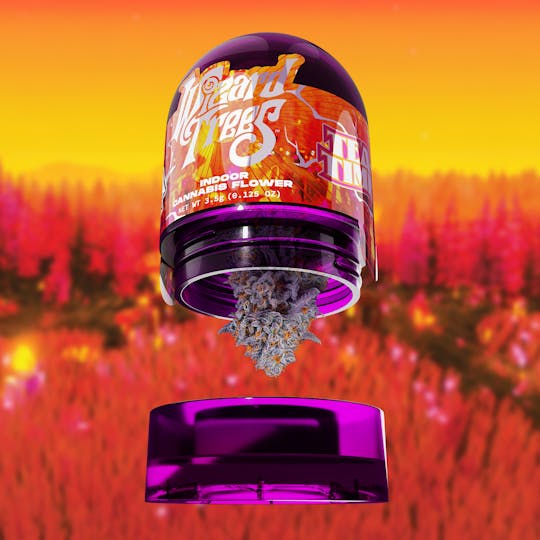 Wizard Trees - Wizard Trees | 3.5g Flower - Tea Time - 1
