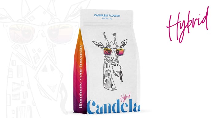 Candela - Candela Stankonya 3.5G Prepack - 1