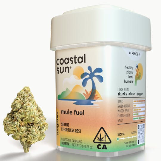 Coastal Sun - Mule Fuel Sungrown Flower 7g - 1