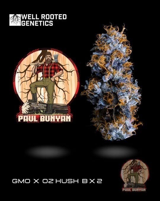 Well Rooted Genetics - Well Rooted Genetics | Paul Bunyan | Big Buds | 3.5g - 1