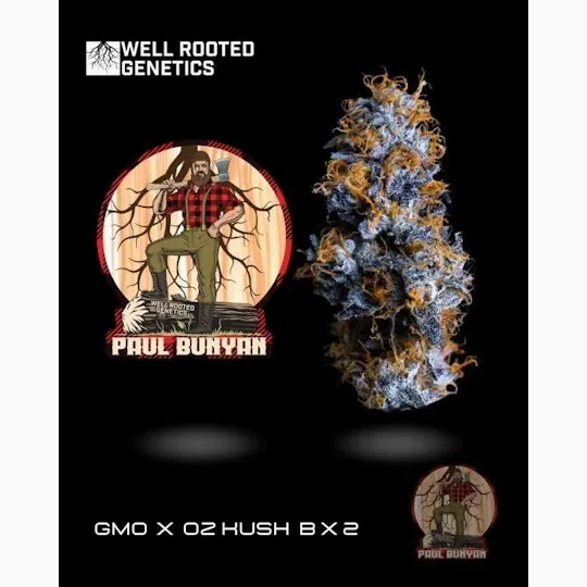 Well Rooted Genetics - Well Rooted Genetics | Paul Bunyan | Big Buds | 3.5g - 1