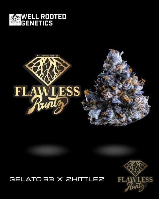 Well Rooted Genetics - Well Rooted Genetics | Flawless Runtz | Big Buds | 3.5g - 1