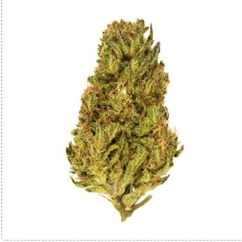 Smoakland - Smoakland Xclusivez | Sour Florida OG | Big Buds | 28g - 1