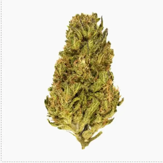 Smoakland - Smoakland Xclusivez | Sour Florida OG | Big Buds | 28g - 1