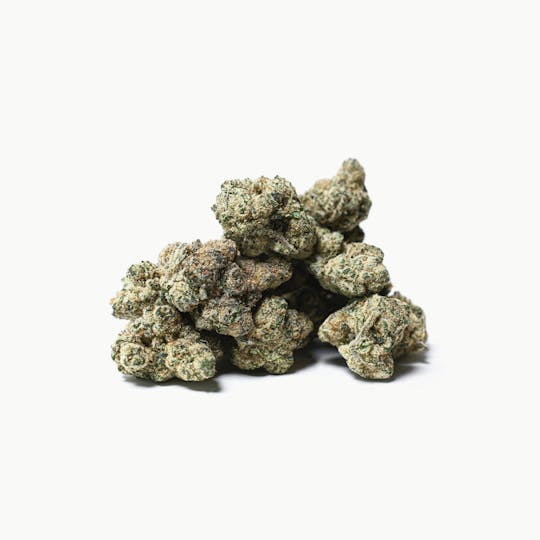 All Pro Farms - Violet Fog - 1