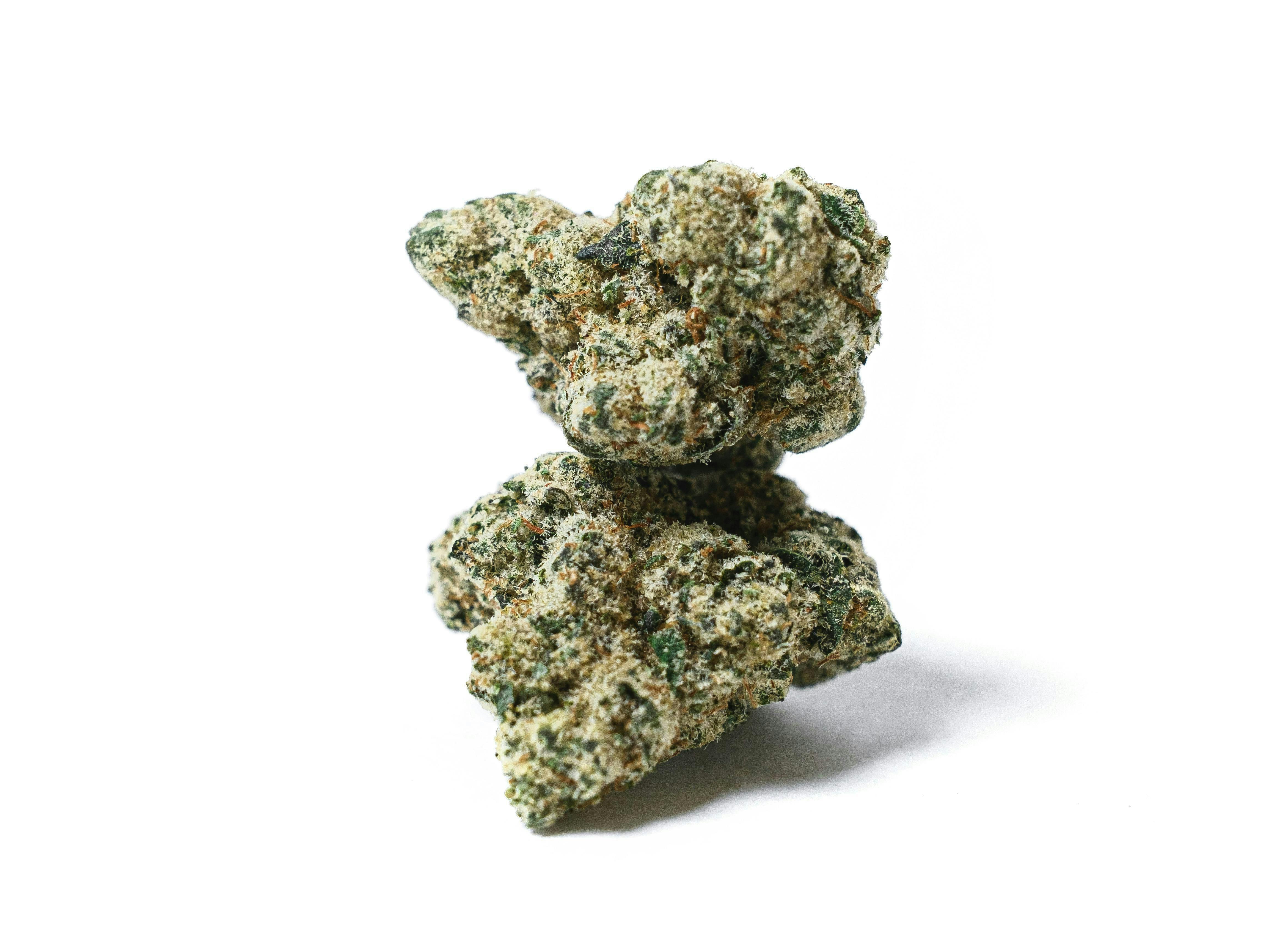 All Pro Farms - All Pro Farms | Violet Fog | Big Buds - 1