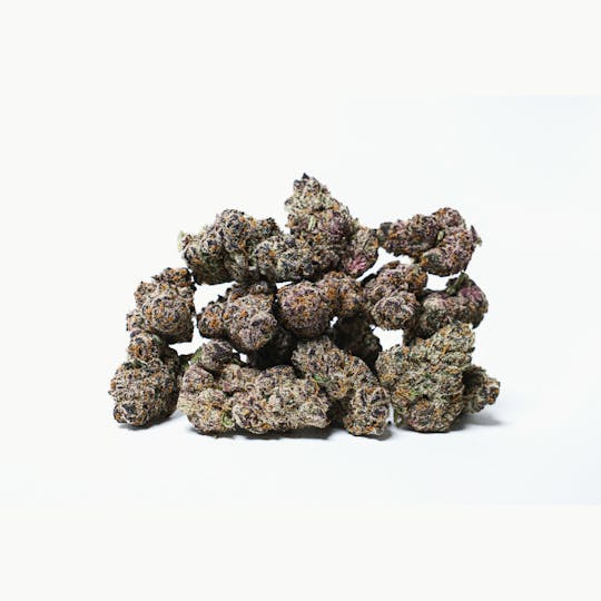 All Pro Farms - Halle Berry - 1