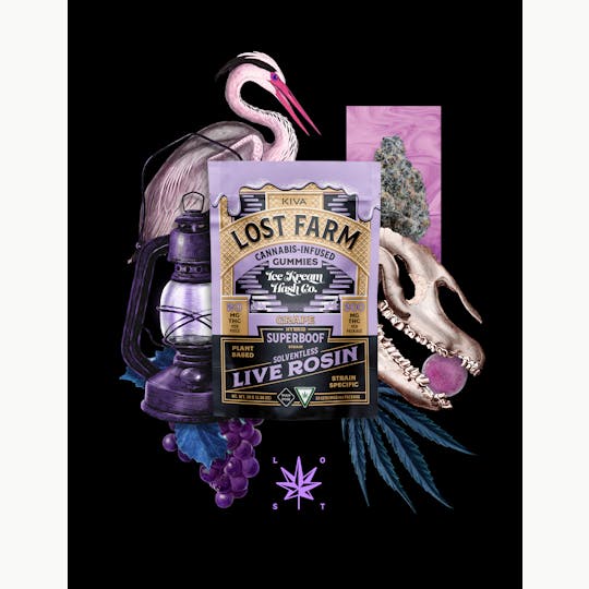 Kiva Confections - Lost Farm 200mg 10pk Grape x Superboof Live Rosin Gummies - 1