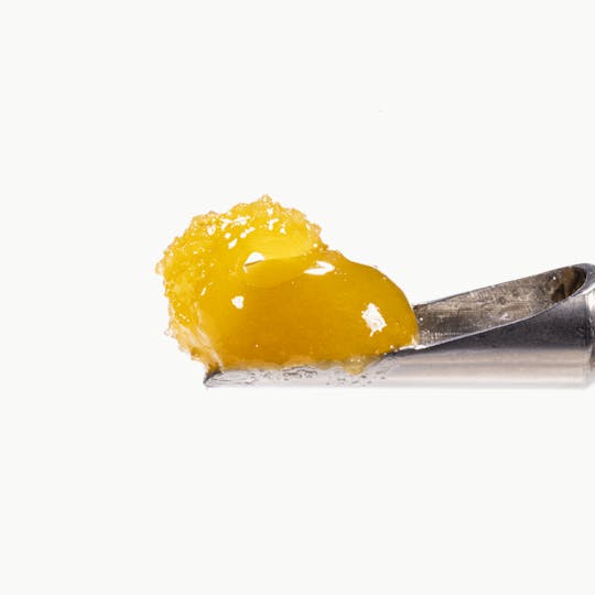 West Coast Cure - Lemon Cream Pie Live Rosin Jam - Tier 1 - 1