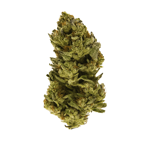 Smoakland - Si Señor | Purple Animal Cookies | Big Buds | 28g - 1