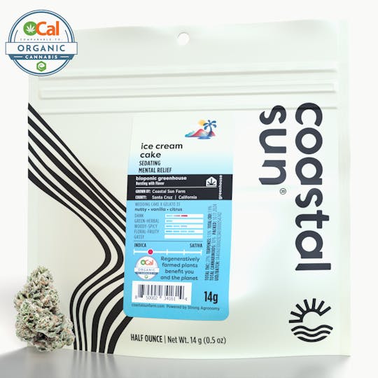 Coastal Sun - Ice Cream Cake Greenhouse Flower 14g - 1