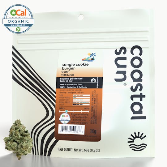 Coastal Sun - Tangie Cookie Burger Greenhouse Flower 14g - 1