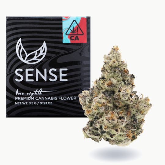 Sense - Tokyo Fuzz - 1