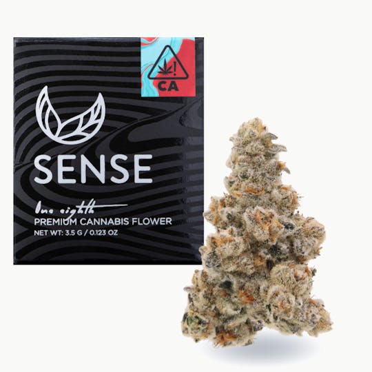 Sense - Lazer Wolf - 1