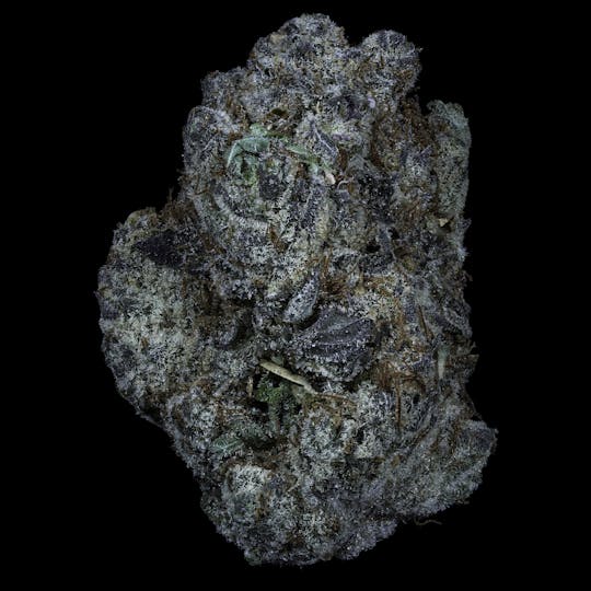 Prolific Growhouse - Insomnia Cookies - 1