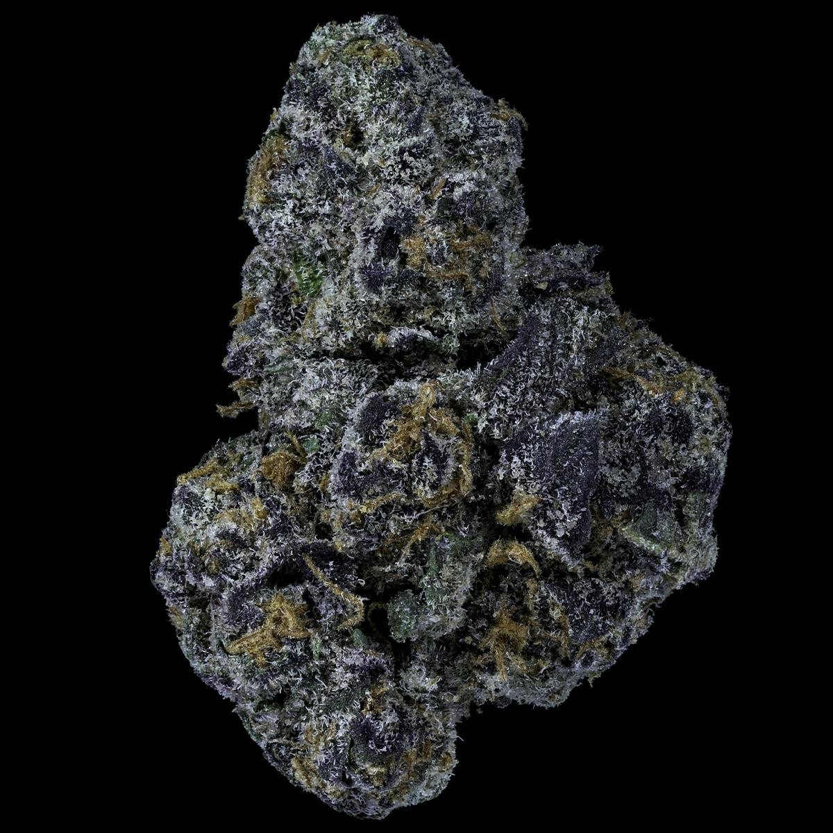 Prolific Growhouse - Frosted Flakes - 1