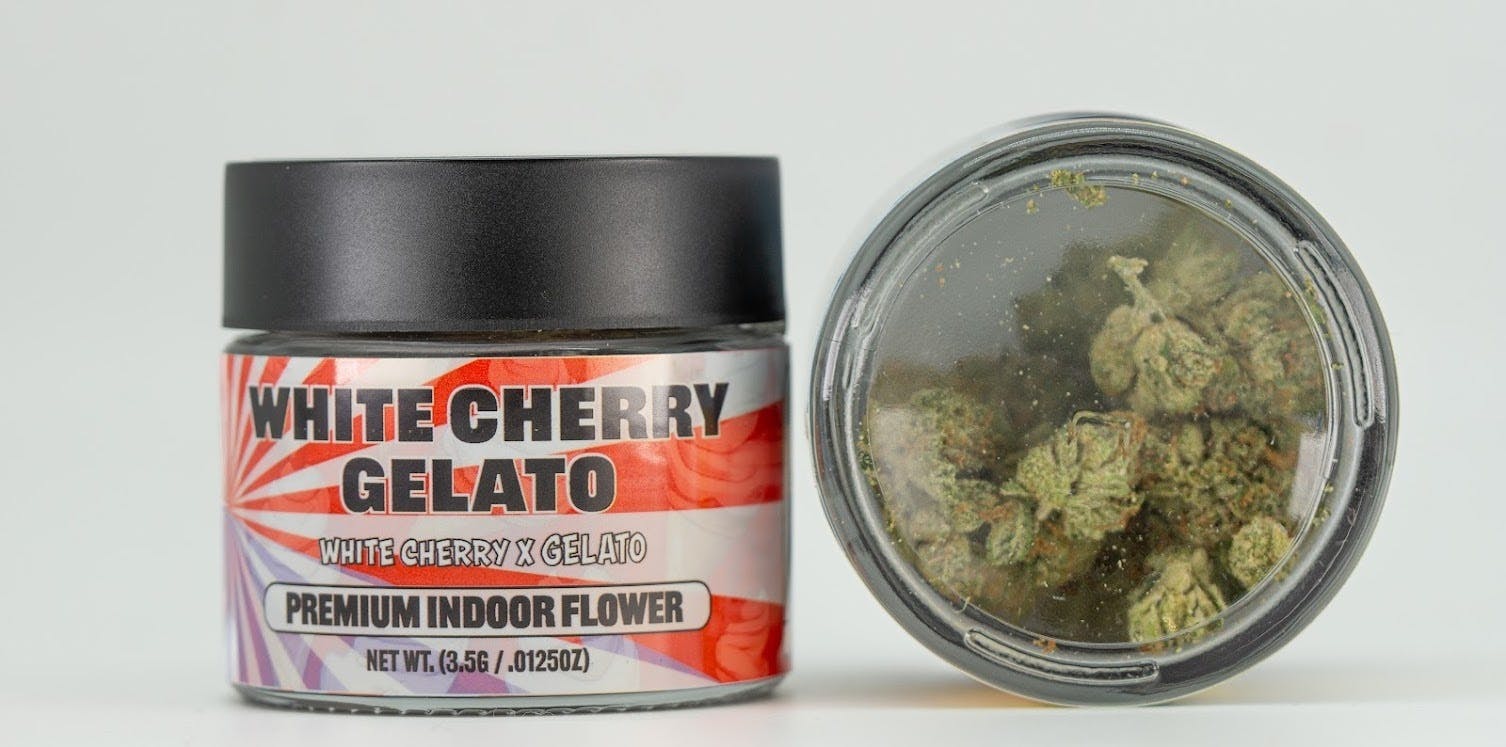 Zanna - White Cherry Gelato 3.5G - 1