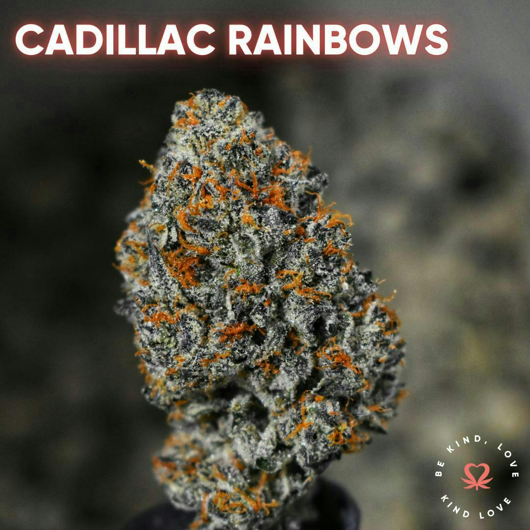 Kind Love Brand - Kind Love | Cadillac Rainbow | Flower - 1