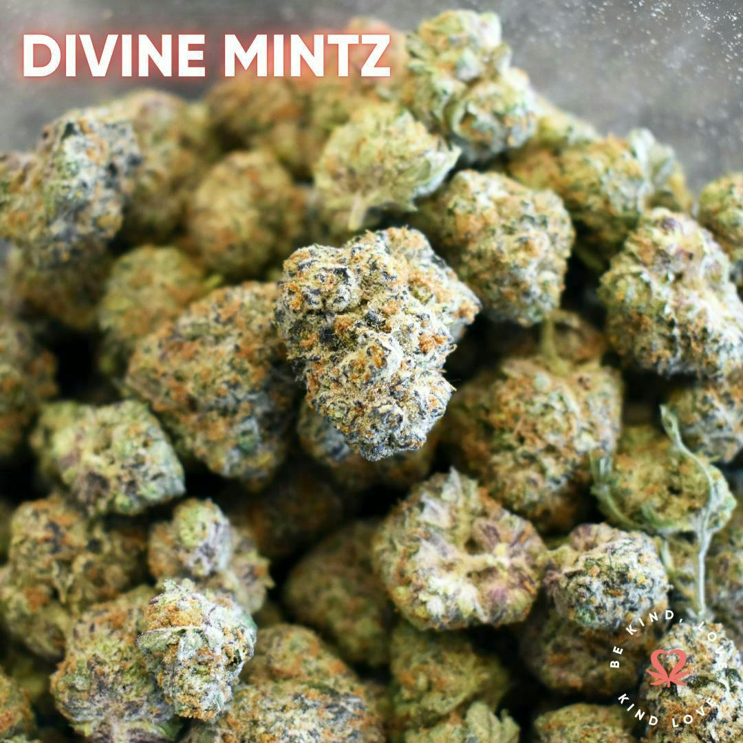Kind Love Brand - Kind Love | Divine Mintz | Flower - 1