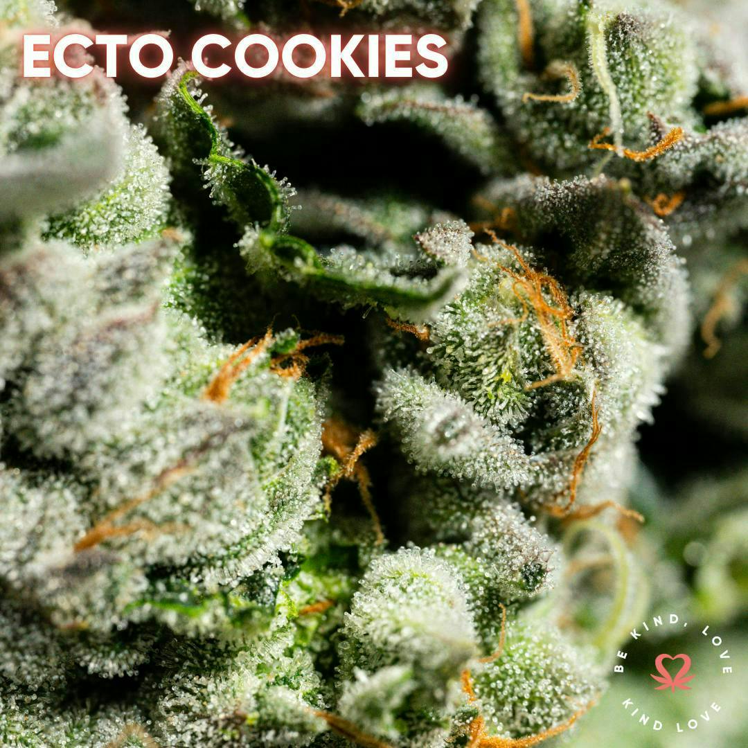 Kind Love Brand - Kind Love | Ecto Cookies | Flower - 1