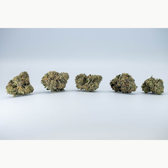 High Life Farms - MI - High Life Farms Super Gremlin Popcorn Buds 1 Ounce - 1