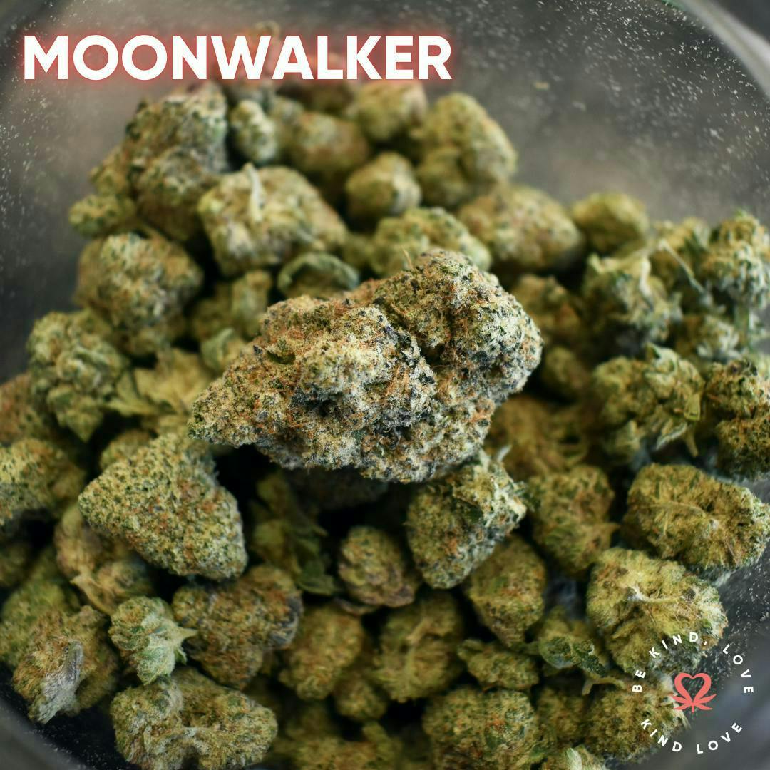 Kind Love Brand - Kind Love | Moonwalker | Flower - 1