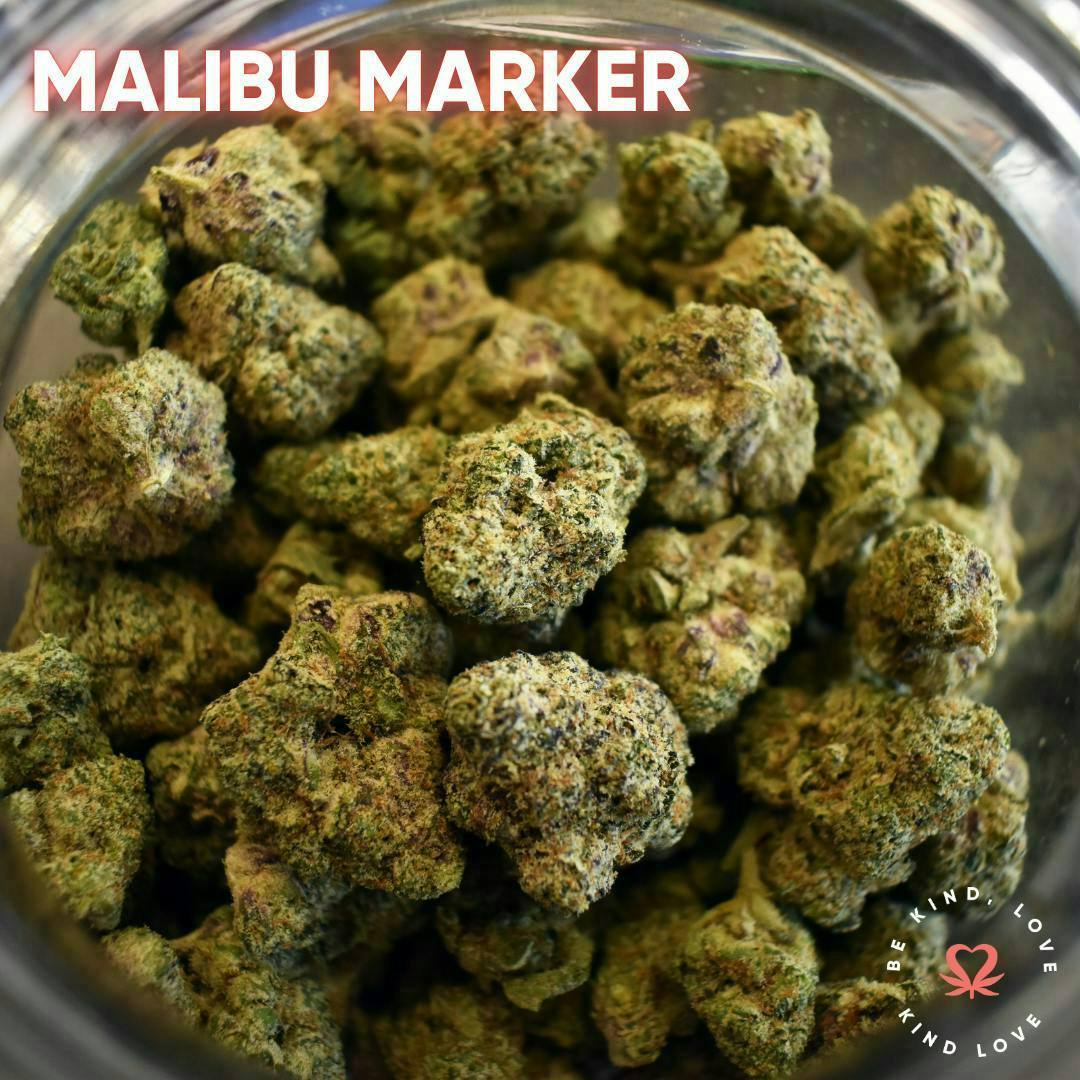 Kind Love Brand - Kind Love | Malibu Marker | Flower - 1