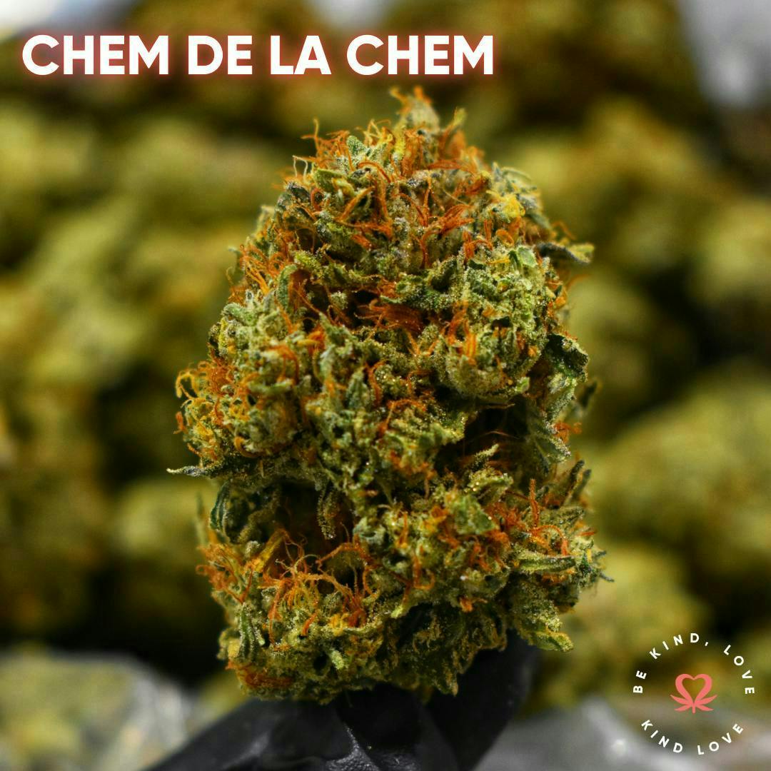 Kind Love Brand - Kind Love | Chem De La Chem | Flower - 1