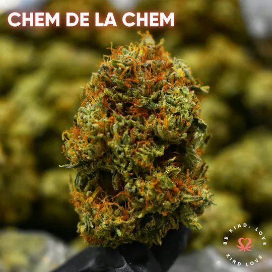 Kind Love Brand - Kind Love | Chem De La Chem | Flower - 1