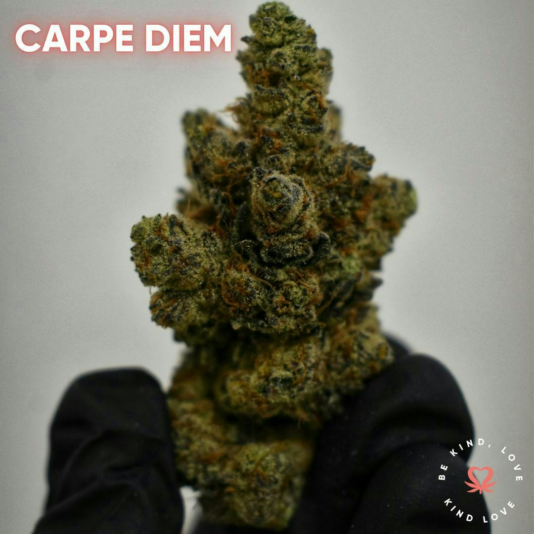 Kind Love Brand - Kind Love | Carpe Diem | Flower - 1