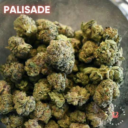 Kind Love Brand - Kind Love | Palisade | Flower - 1