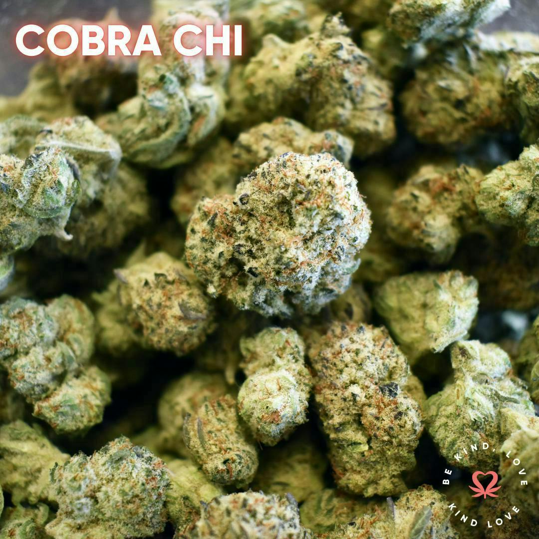 Kind Love Brand - Kind Love | Cobra Chi | Flower - 1