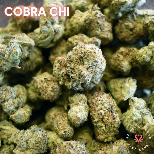 Kind Love Brand - Kind Love | Cobra Chi | Flower - 1