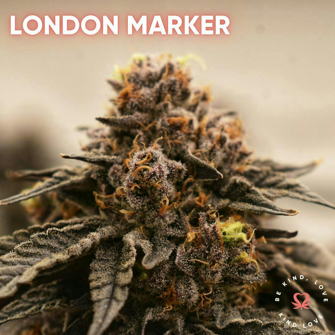 Kind Love Brand - Kind Love | London Maker | Flower - 1